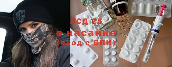 спайс Богданович