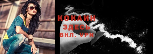 спайс Богданович