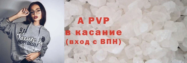спайс Богданович