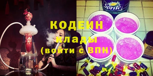 крисы Богородицк