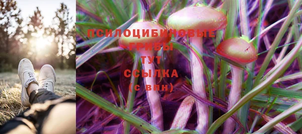 сатива Богородск