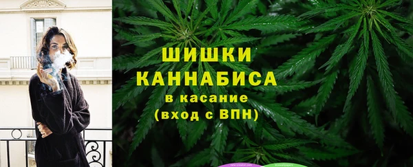 крисы Богородицк