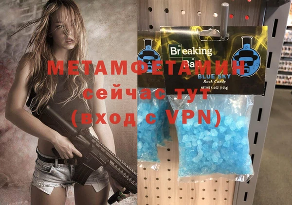 крисы Богородицк