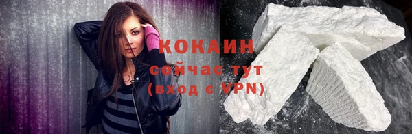 спайс Богданович