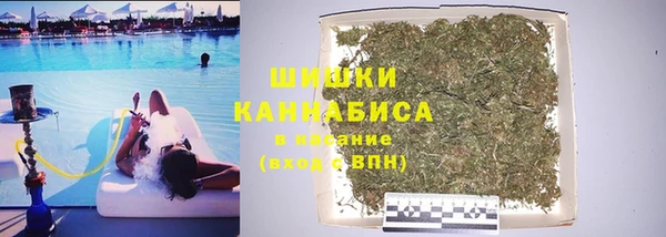 сатива Богородск