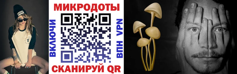 Псилоцибиновые грибы мицелий  Дюртюли 